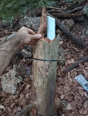 Antennenkoppler für Kamera Außenantenne für Kamera