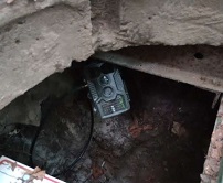 Kamera für den Eingangsbereich einer Höhle Funkmelder für eine Absicherung