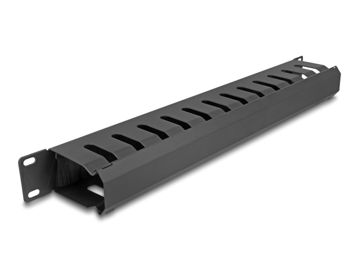 Delock 19″ Kabelmanagement Rangierpanel mit Bürste und 2 Öffnungen 1 HE schwarz #1 