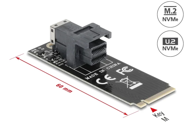 Delock Adapter M.2 Key M zu SFF-8643 NVMe 2260 #1 