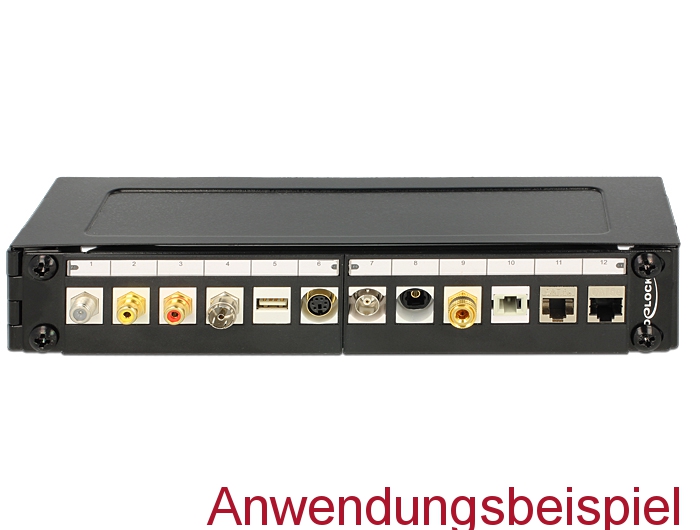 Delock 10″ Wandhalterung 1 HE #3 