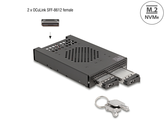 Delock 3.5″ Wechselrahmen für 2 x M.2 NVMe SSD mit OcuLink SFF-8612 Anschluss #1 