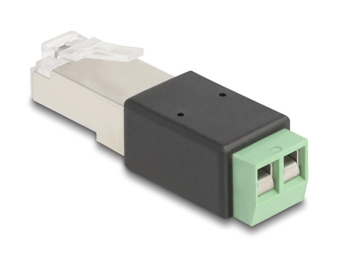Delock RJ45 Stecker zu Terminalblock Adapter 2 Pin #2 