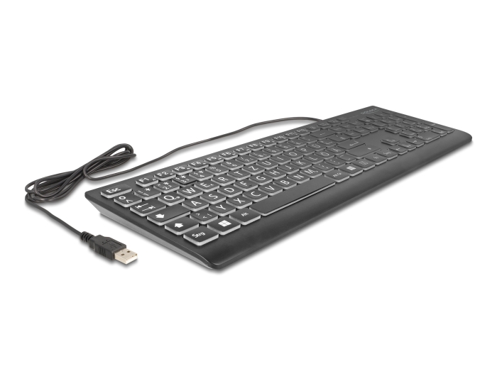 Delock USB Tastatur kabelgebunden 1,5 m schwarz mit XXL Buchstaben und Beleuchtung #2 