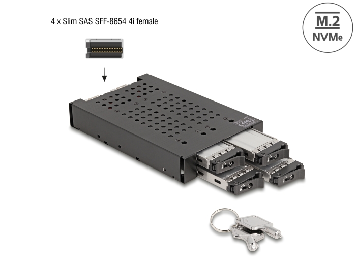 Delock 3.5″ Wechselrahmen für 4 x M.2 NVMe SSD mit Slim SAS SFF-8654 Anschluss #1 