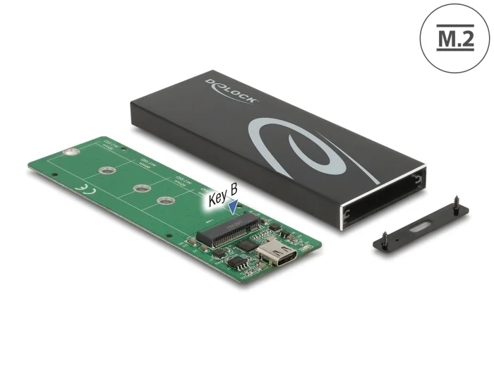 Delock Externes Gehäuse für M.2 SATA SSD mit USB Type-C™ Buchse #1 