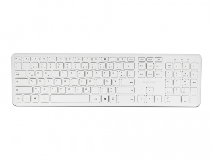 Delock USB Tastatur und Maus Set 2,4 GHz kabellos weiß #5 