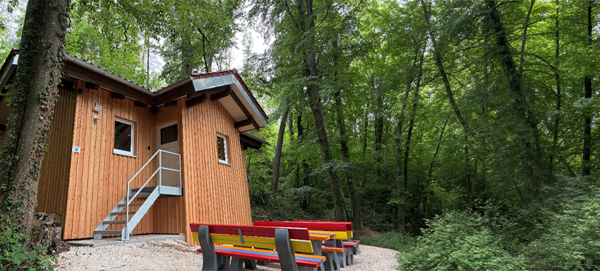 Pappen.Hain – Wald (er-)leben in Pappenheim