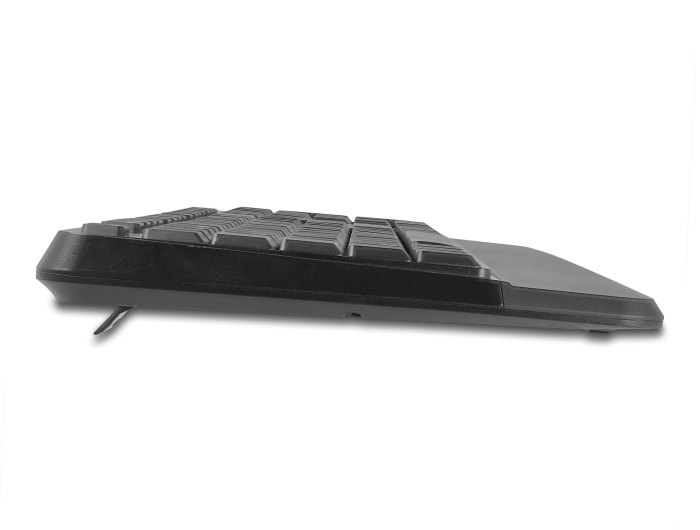Delock USB Tastatur und Maus Set 2,4 GHz kabellos schwarz (Handballenauflage) #5 