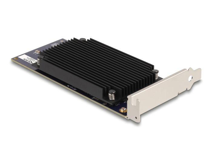 Delock PCI Express x8 Hailo-8™ AI Prozessor x2 KI-Beschleuniger #3 