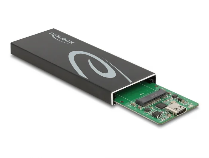Delock Externes Gehäuse für M.2 SATA SSD mit USB Type-C™ Buchse #2 