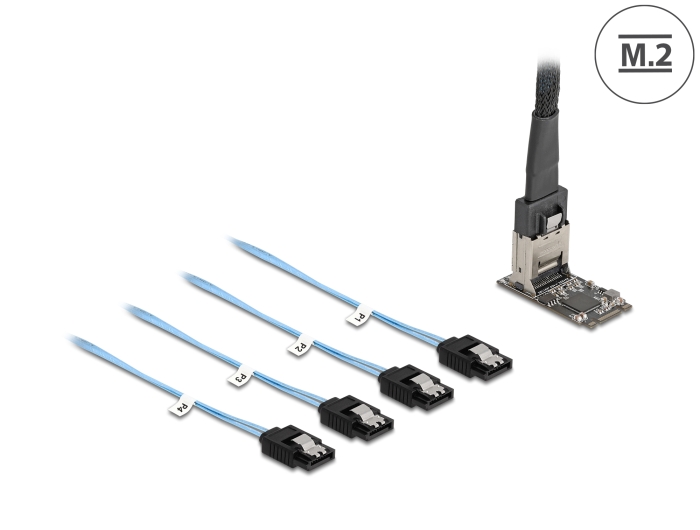 Delock M.2 2242 Key B+M Kontroller zu 4 x SATA mit 1 m Kabel #1 