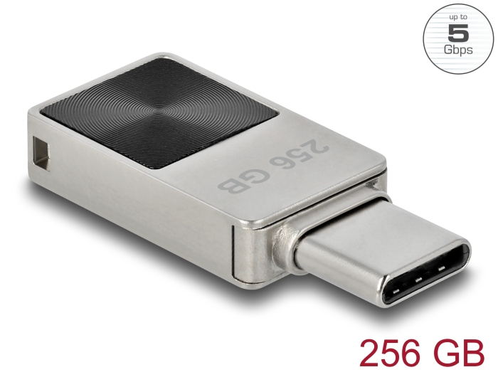 Delock Mini USB 5 Gbps USB-C™ Speicherstick 256 GB - Metallgehäuse #1 