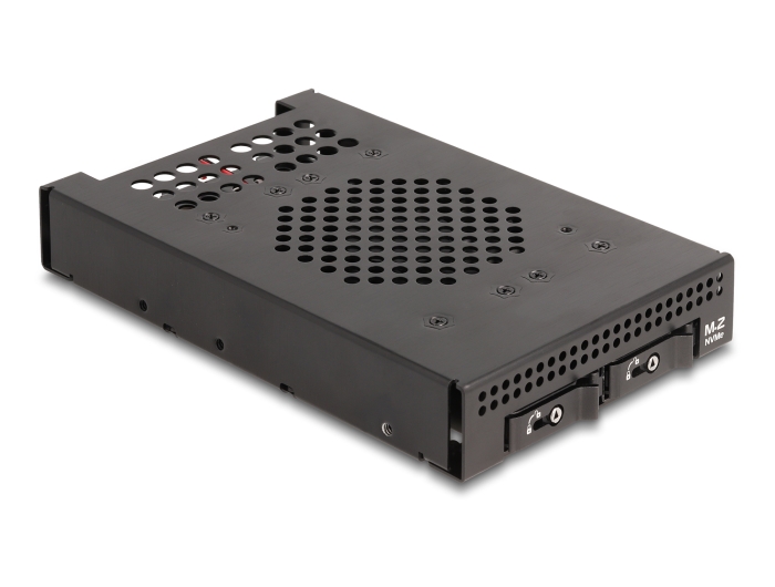 Delock 3.5″ Wechselrahmen für 2 x M.2 NVMe SSD mit OcuLink SFF-8612 Anschluss #2 