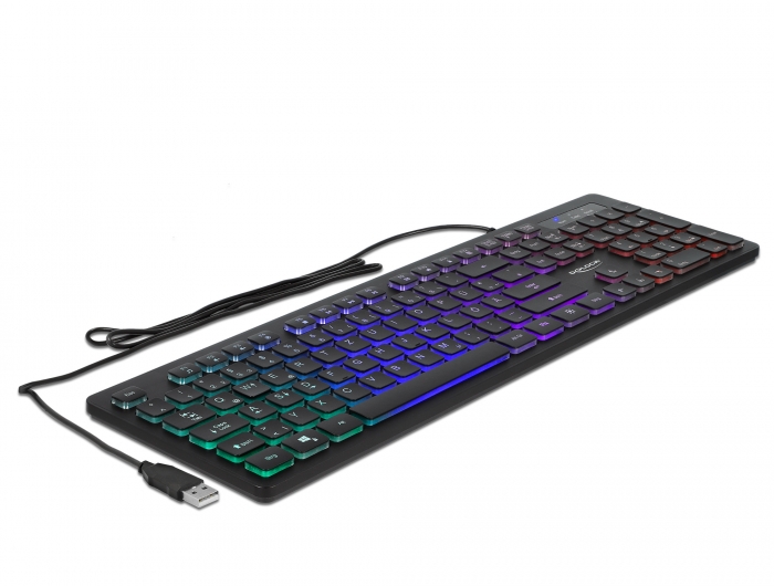 Delock USB Tastatur kabelgebunden 1,5 m schwarz mit RGB Beleuchtung #1 