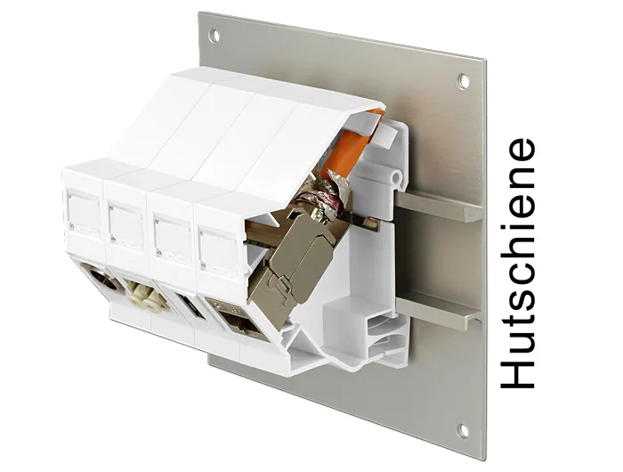 Delock Keystone Halterung für Hutschienen #4 
