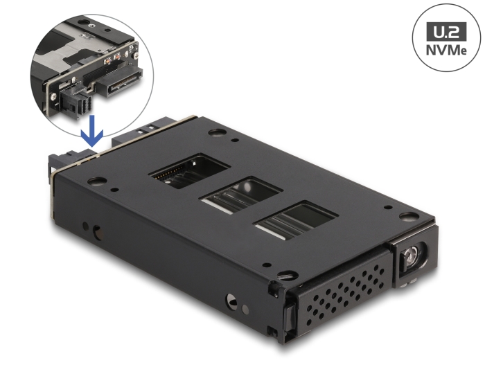 Delock Slim Bay Wechselrahmen für 1 x 2.5″ U.2 NVMe SSD #1 