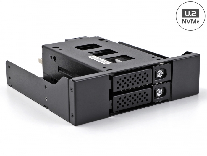 Delock Slim Bay Wechselrahmen für 2 x 2.5″ U.2 NVMe SSD mit 5.25″ Rahmen #1 