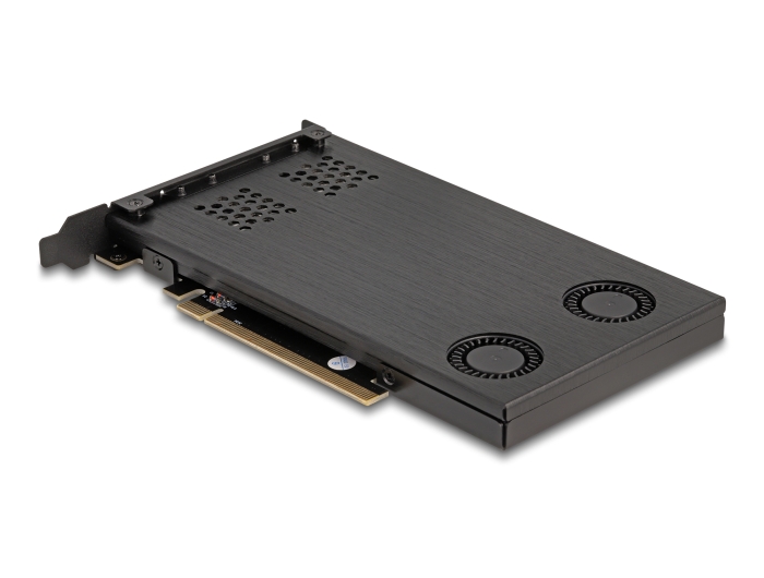 Delock PCI Express x16 Karte Wechselrahmen für 2 x M.2 NVMe SSD - Bifurcation #8 
