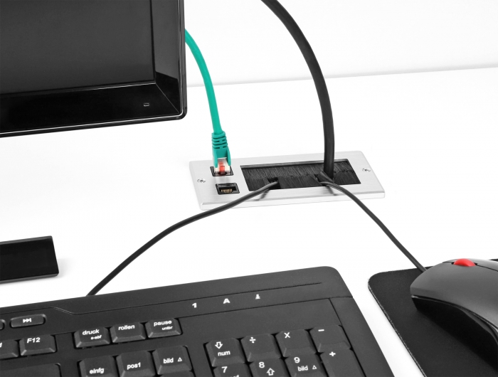 Delock Kabeldurchführung mit Bürste und 2 x RJ45 Keystone Modul Cat.6 Aluminium #4 