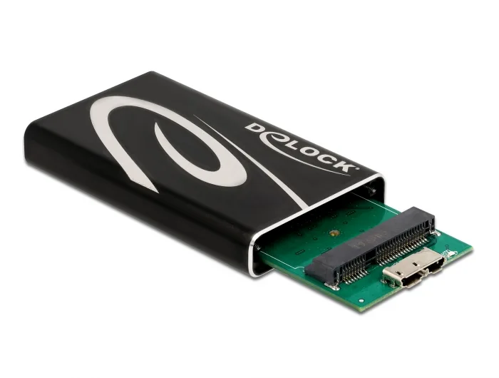 Delock Externes Gehäuse SuperSpeed USB für mSATA SSD #2 