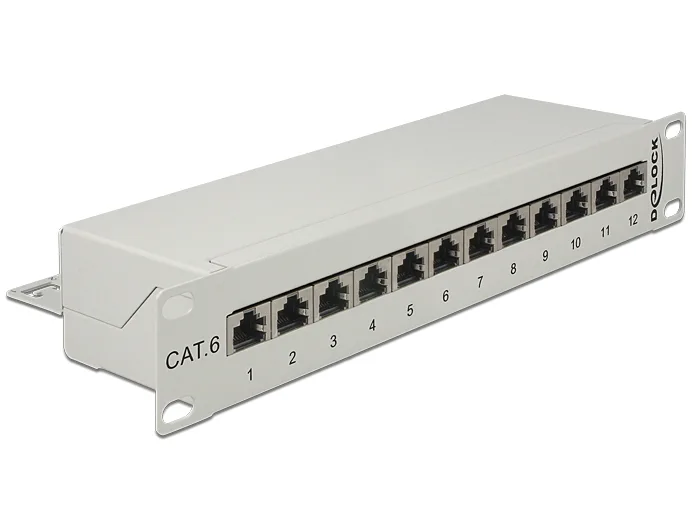 Delock 10″ Patchpanel 12 Port Cat.6 grau #1 