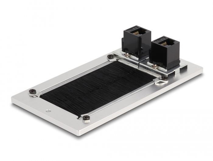 Delock Kabeldurchführung mit Bürste und 2 x RJ45 Keystone Modul Cat.6 Aluminium #2 