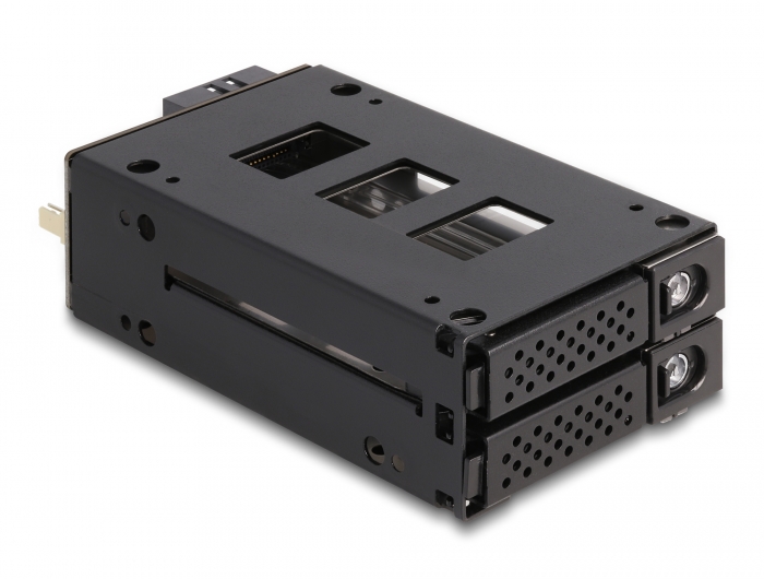 Delock Slim Bay Wechselrahmen für 2 x 2.5″ U.2 NVMe SSD mit 5.25″ Rahmen #5 