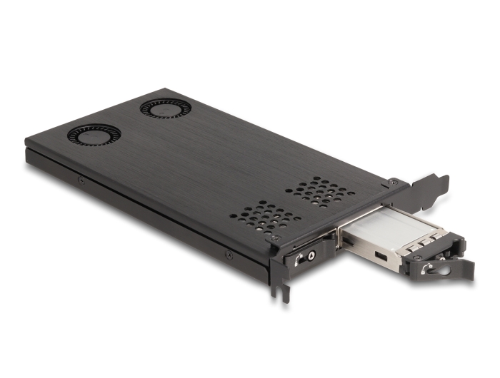 Delock PCI Express x16 Karte Wechselrahmen für 2 x M.2 NVMe SSD - Bifurcation #2 