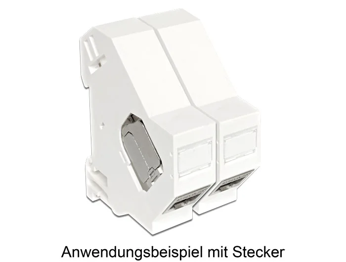 Delock Keystone Halterung für Hutschienen #3 