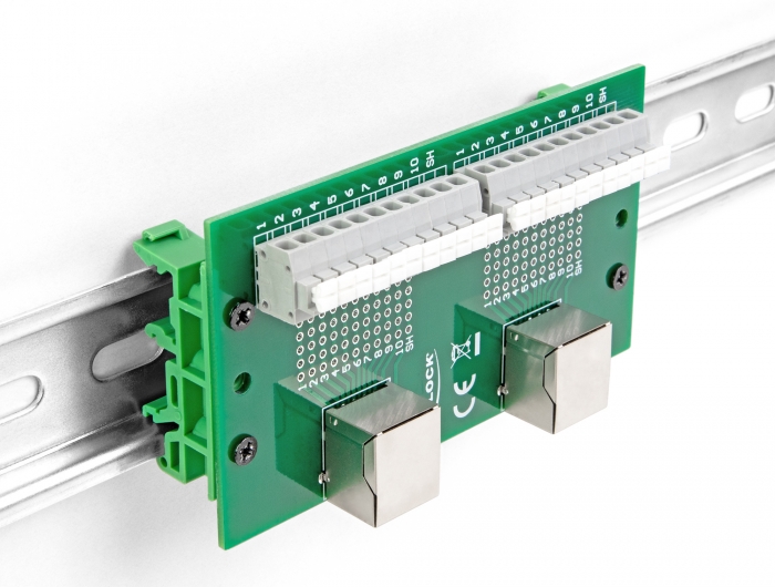 Delock RJ50 2 x Buchse zu 2 x Terminalblock mit Drucktaster für Hutschiene #4 