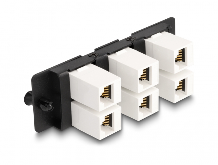 Delock Keystone Adapter Panel 6 Port schwarz #2 