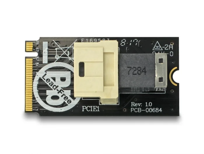 Delock Adapter M.2 Key M > SFF-8643 NVMe horizontal 2242 #2 
