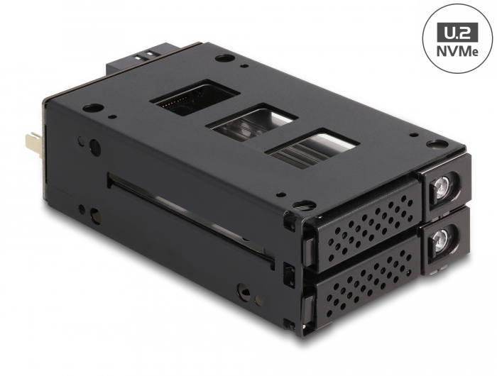 Delock Slim Bay Wechselrahmen für 2 x 2.5″ U.2 NVMe SSD #1 