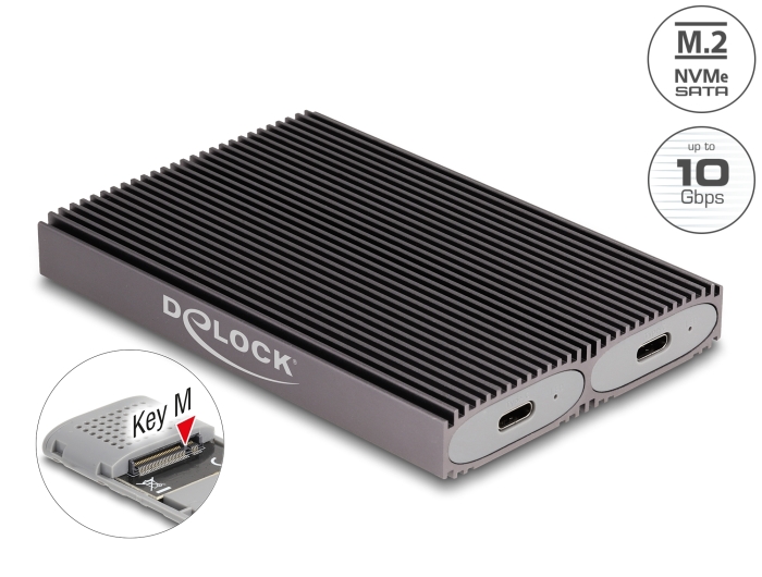 Delock Externes USB Type-C™ Dual Combo Gehäuse für 2 x M.2 NVMe PCIe oder SATA SSD - werkzeugfrei #1 