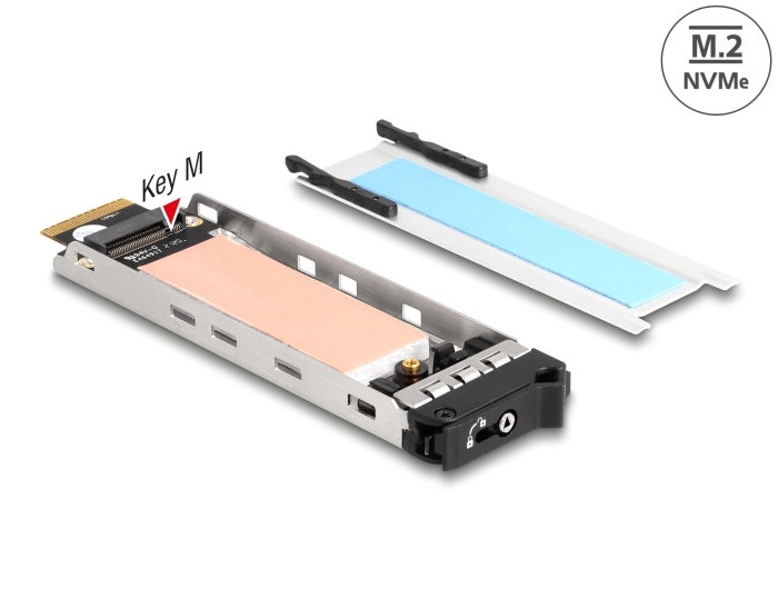 Delock Wechselrahmen Einschub 1 x M.2 NVMe SSD für Wechselrahmen 47028 / 47042 / 47070 / 47072 / 47111 / 47117 / 47126 / 47129 #1 