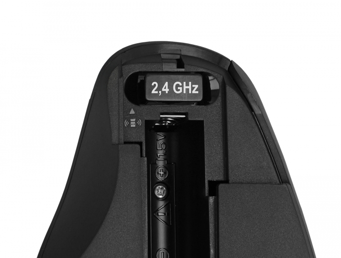 Delock Ergonomische USB Maus - kabellos #2 