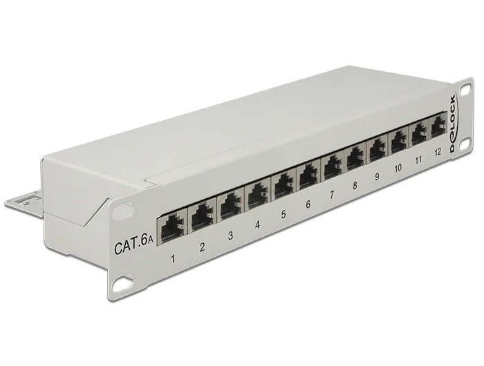 Delock 10″ Patchpanel 12 Port Cat.6A grau #1 