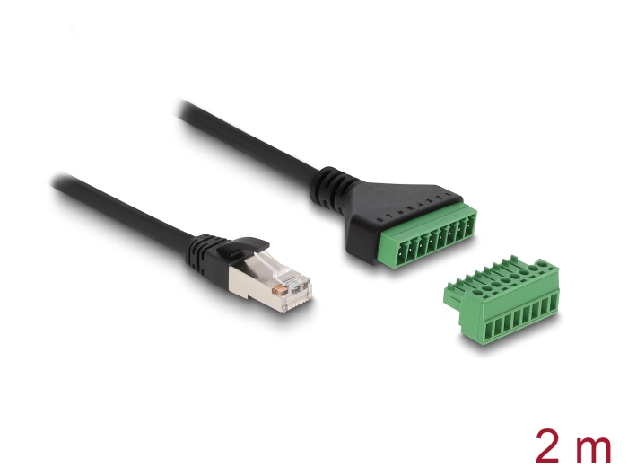 Delock RJ45 Kabel Cat.6 Stecker zu Terminalblock Adapter 2 m 2-teilig #1 