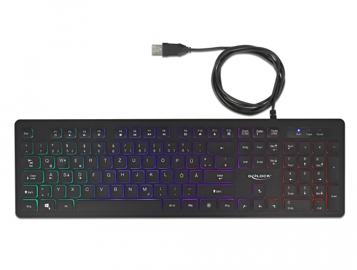 Delock USB Tastatur kabelgebunden 1,5 m schwarz mit RGB Beleuchtung #3 