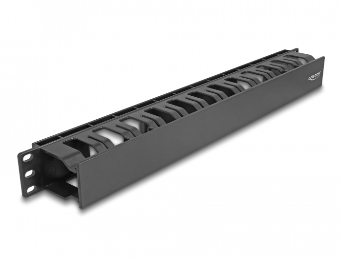 Delock 19″ Kabelmanagement Rangierpanel mit 2 Öffnungen 1 HE schwarz Kunststoff #1 