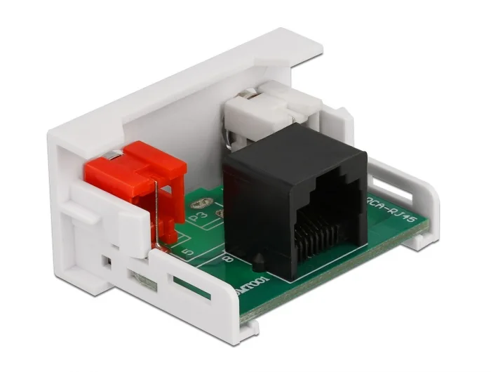 Delock Easy 45 Modul 2 x Cinch Buchse zu RJ45 Buchse 22,5 x 45 mm #2 