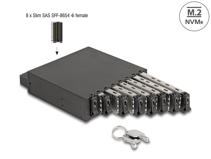Delock 5.25″ Wechselrahmen für 8 x M.2 NVMe SSD mit Slim SAS SFF-8654 Anschluss #1 