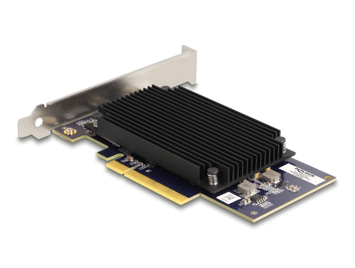 Delock PCI Express x8 Hailo-8™ AI Prozessor x2 KI-Beschleuniger #2 