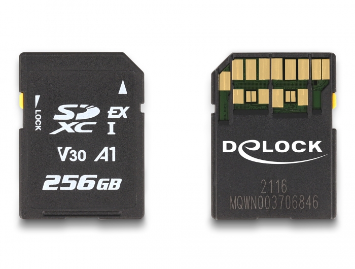 Delock SD Express Speicherkarte 256 GB #2 