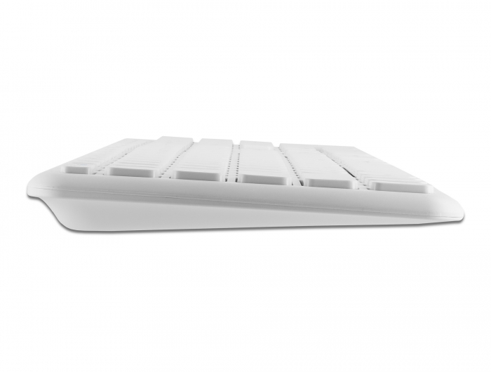 Delock USB Tastatur und Maus Set 2,4 GHz kabellos weiß #4 
