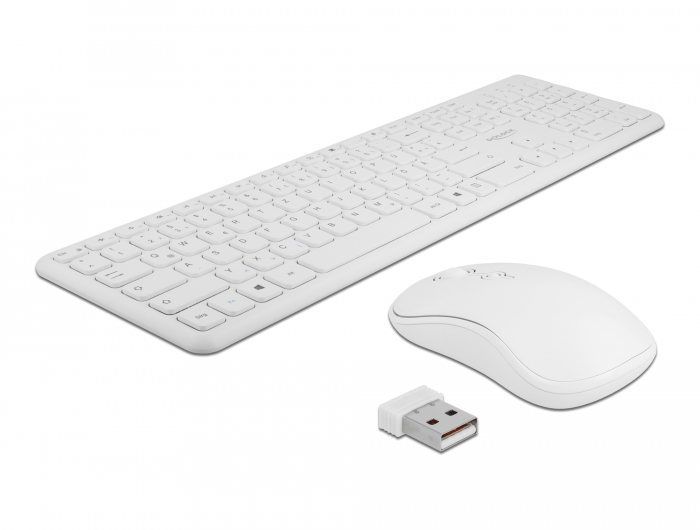 Delock USB Tastatur und Maus Set 2,4 GHz kabellos weiß #1 