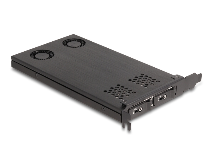 Delock PCI Express x16 Karte Wechselrahmen für 2 x M.2 NVMe SSD - Bifurcation #4 