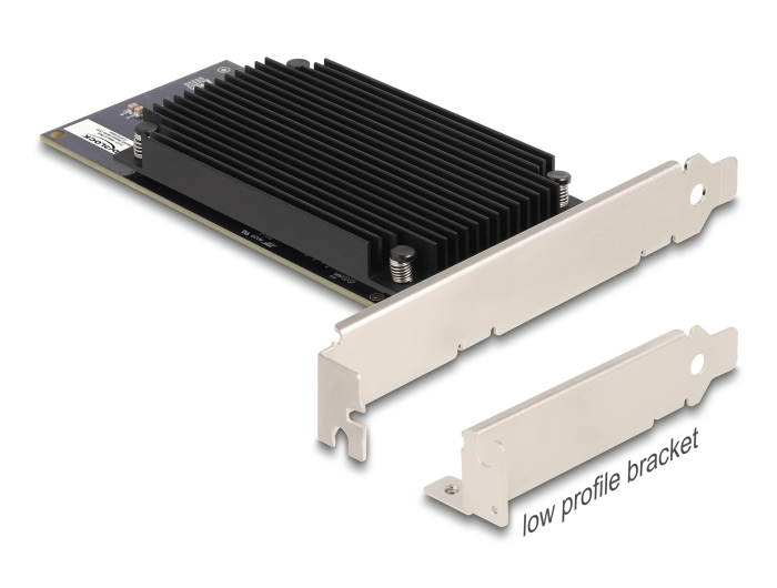 Delock PCI Express x8 Hailo-8™ AI Prozessor x2 KI-Beschleuniger #1 