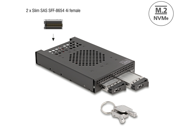 Delock 3.5″ Wechselrahmen für 2 x M.2 NVMe SSD mit Slim SAS SFF-8654 Anschluss #1 